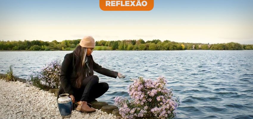 topsite_news_lutopedido