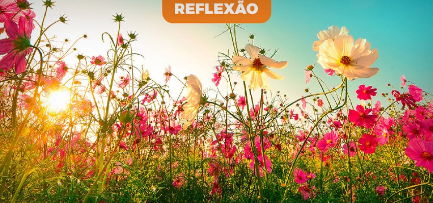 topsite_news_medomorte